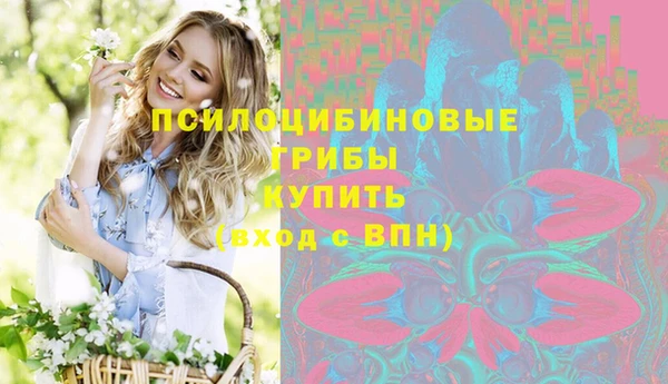 а пвп мука Абаза