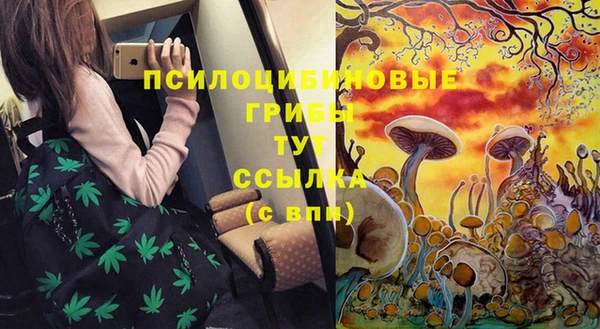 а пвп мука Абаза