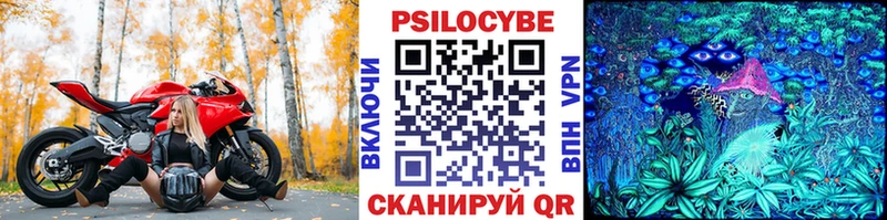 Галлюциногенные грибы Psilocybine cubensis  Новоалтайск 